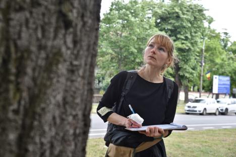 Radiografia verde: Copacii din Oradea sunt evaluați de specialiști, iar primele concluzii sunt îngrijorătoare (FOTO)